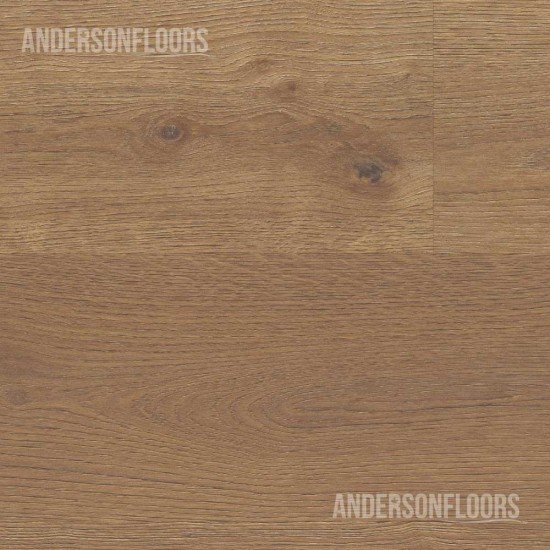COREtec Advanced+ - Ludlow Oak COREtec Advanced+ - Ludlow Oak